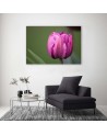 Canvas print modern - Purple tulip | FEEBY