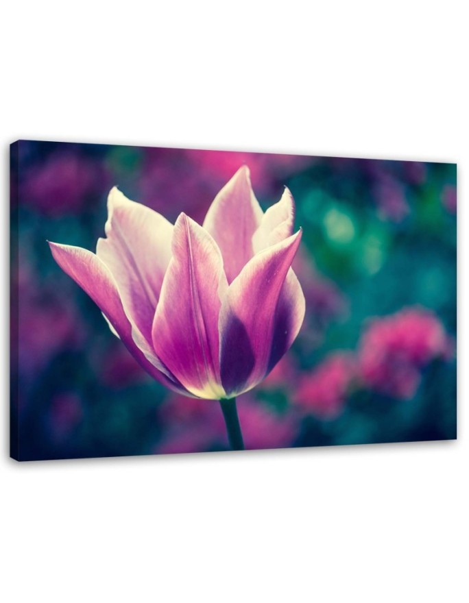 Canvas print - Open tulip | FEEBY