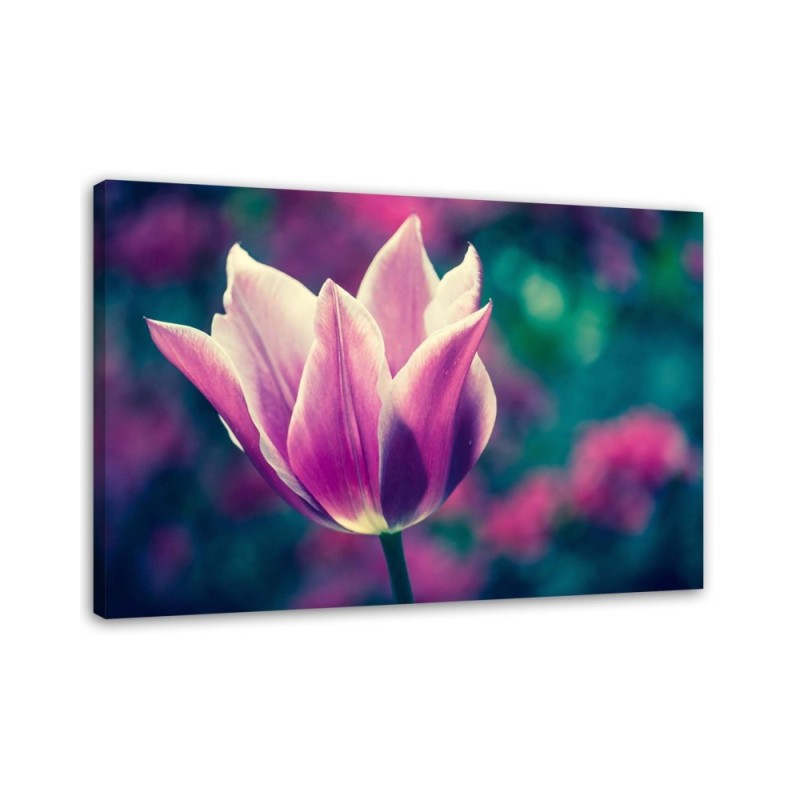 Canvas print - Open tulip | FEEBY
