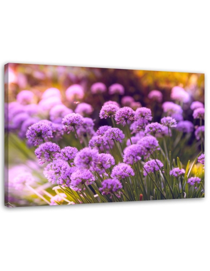 Canvas print Purple Garden
