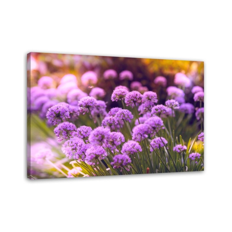 Canvas print - Purple garden | FEEBY