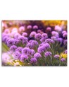 Canvas print - Purple garden | FEEBY