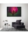 Modern Canvas painting for living room - Rose in dewdrops | FEEBY