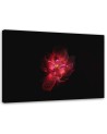 Canvas prints for living room - Red flower on black background | FEEBY