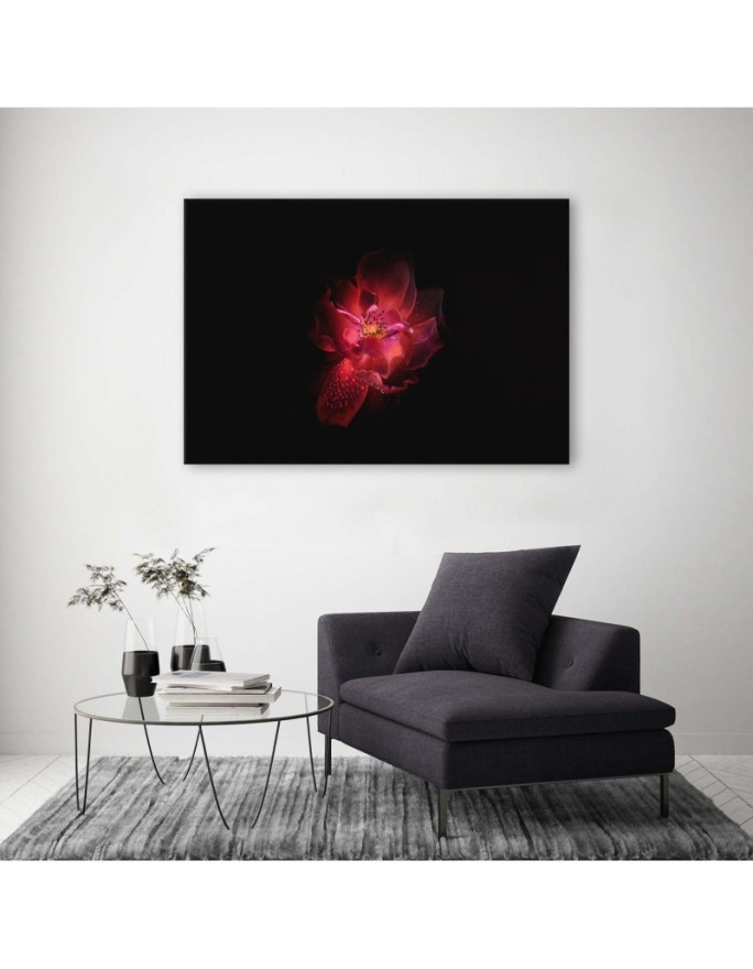 Canvas prints for living room - Red flower on black background | FEEBY