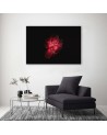 Canvas prints for living room - Red flower on black background | FEEBY