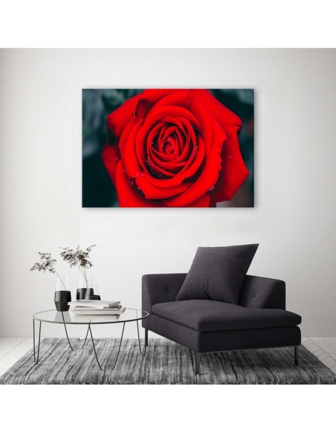 Beautiful red rose - Wall art for the living room | FEEBY