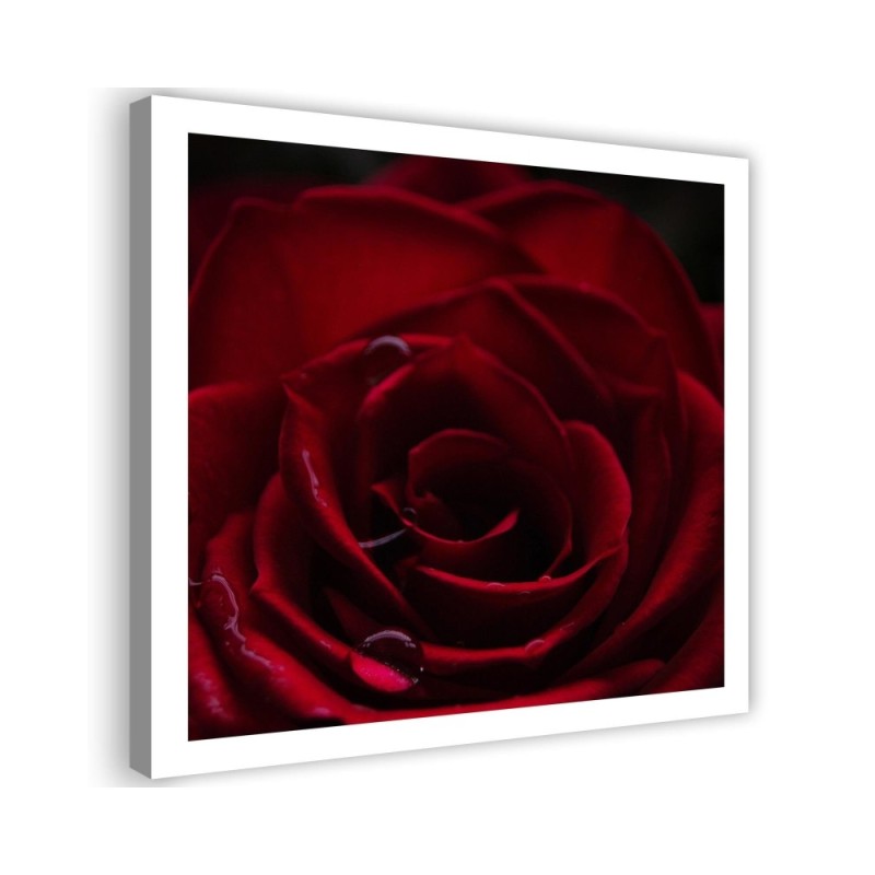 Red rose - Canvas wall art painting | FEEBY