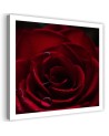 Red rose - Canvas wall art painting | FEEBY