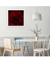 Red rose - Canvas wall art painting | FEEBY