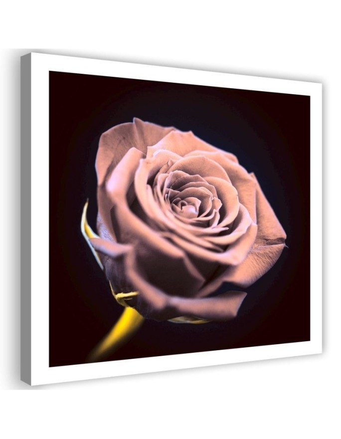 Rose in the dark - Modern Canvas painting for the bedroom | FEEBY