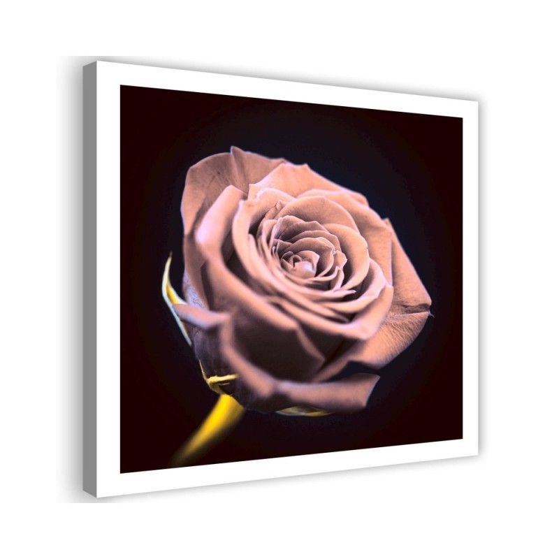 Rose in the dark - Modern Canvas painting for the bedroom | FEEBY