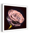 Rose in the dark - Modern Canvas painting for the bedroom | FEEBY