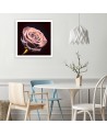 Rose in the dark - Modern Canvas painting for the bedroom | FEEBY
