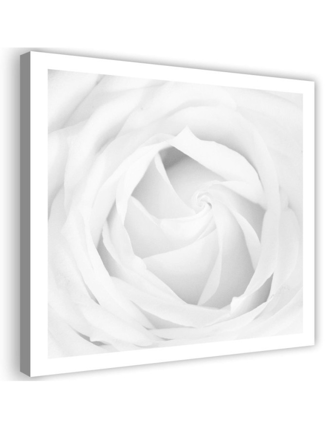 White rose - Modern bedroom Canvas painting | FEEBY