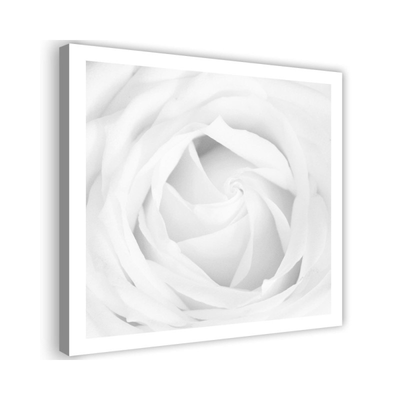 White rose - Modern bedroom Canvas painting | FEEBY