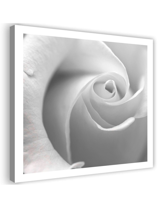 White rose macro - Canvas painting for living room | FEEBY