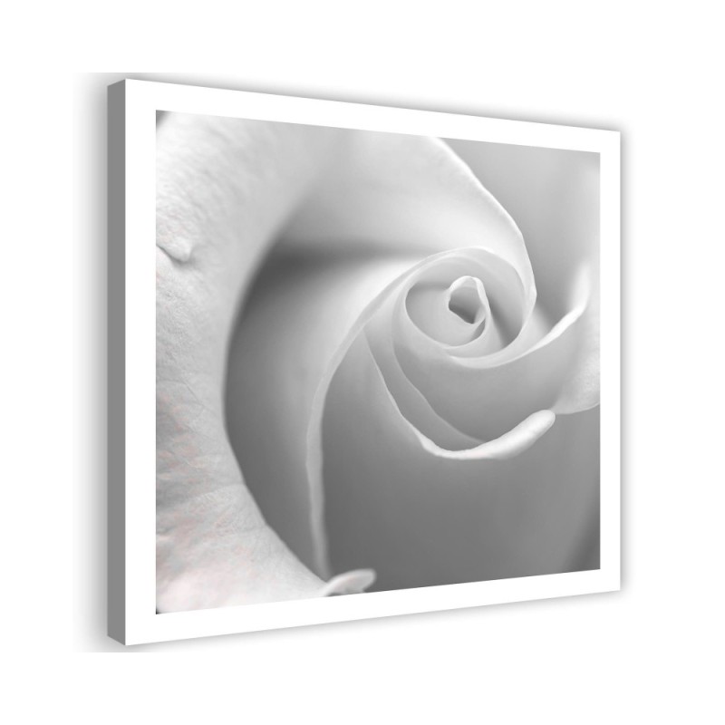 White rose macro - Canvas painting for living room | FEEBY