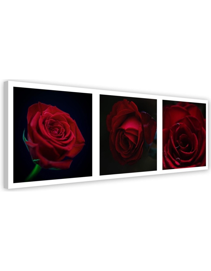 Canvas print Red roses set