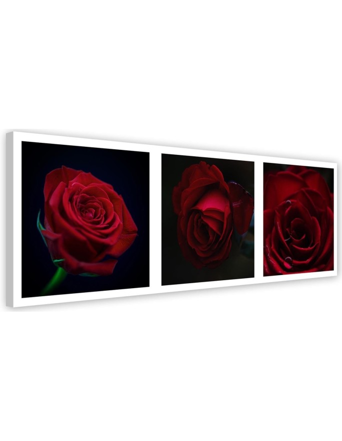 Red roses set - Canvas print modern | FEEBY