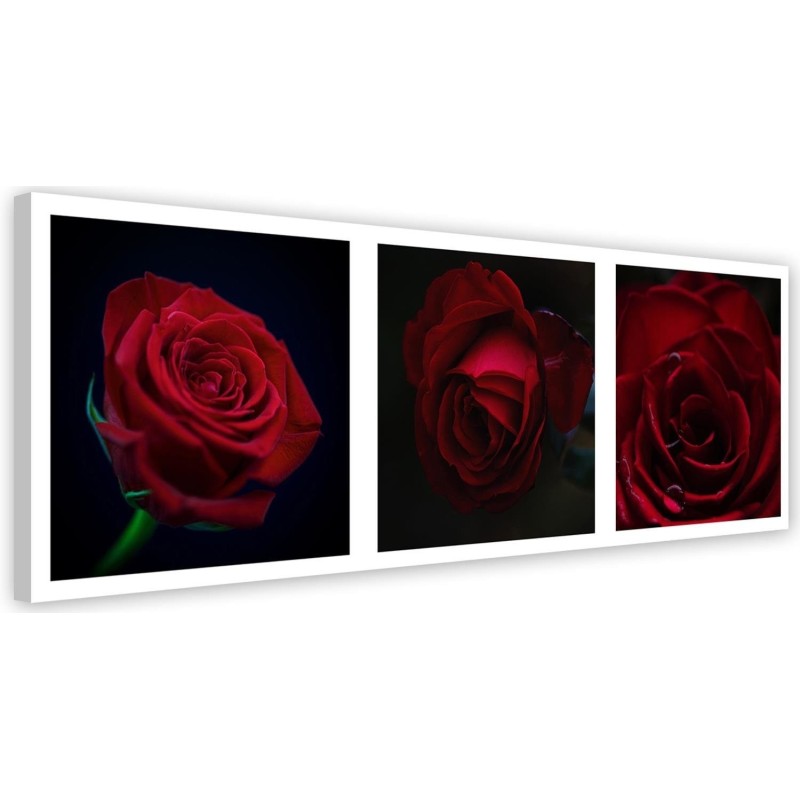 Red roses set - Canvas print modern | FEEBY