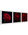 Red roses set - Canvas print modern | FEEBY