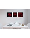 Red roses set - Canvas print modern | FEEBY