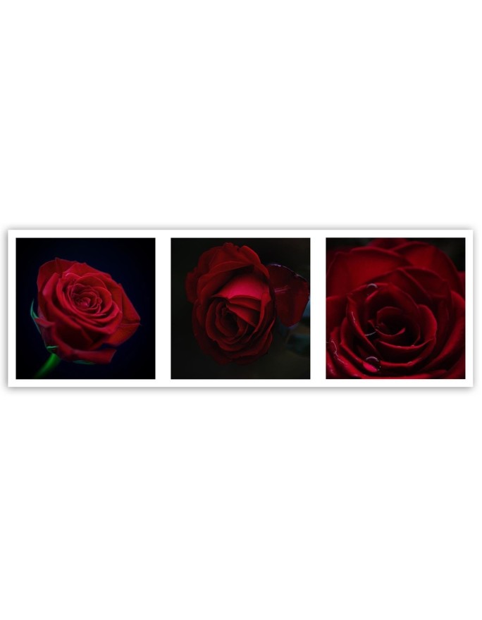 Red roses set - Canvas print modern | FEEBY