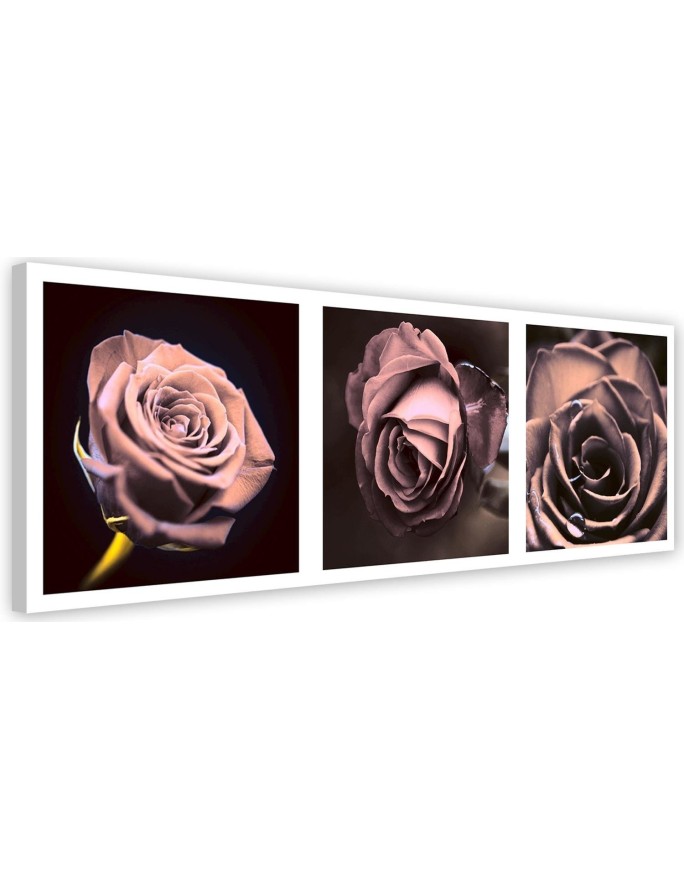 Panoramic roses - Canvas print | FEEBY