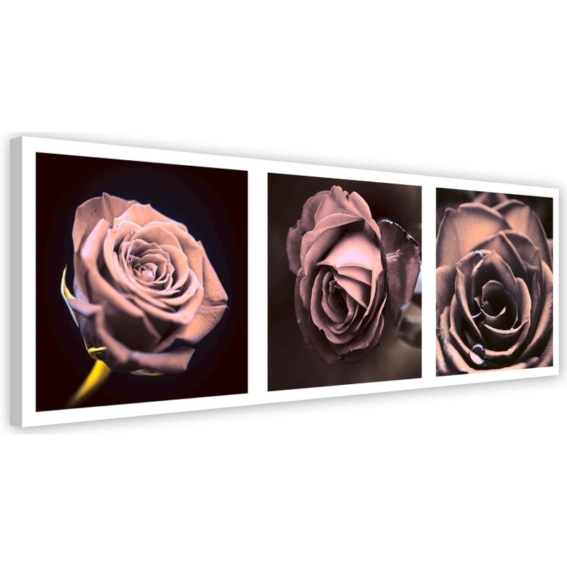 Panoramic roses - Canvas print | FEEBY