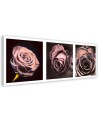 Panoramic roses - Canvas print | FEEBY