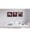Panoramic roses - Canvas print | FEEBY