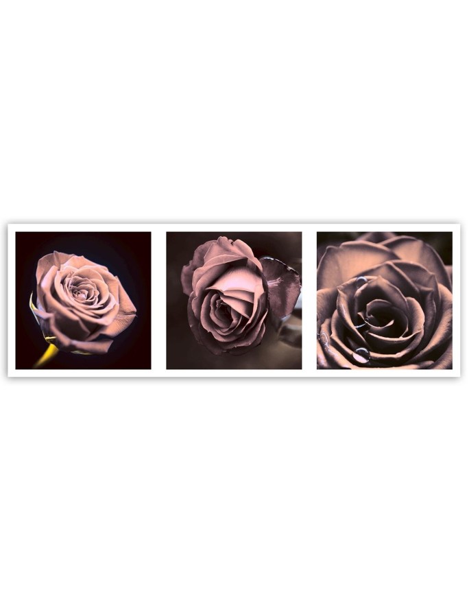 Panoramic roses - Canvas print | FEEBY