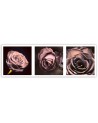Panoramic roses - Canvas print | FEEBY