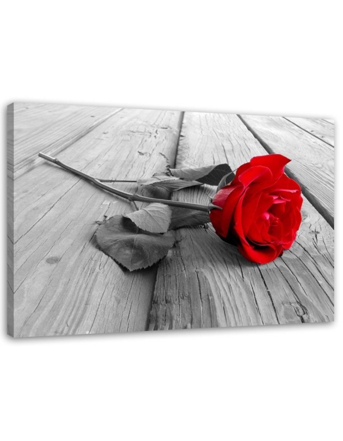 Red rose flower on a bridge - Canvas print. High quality  | FEEBY