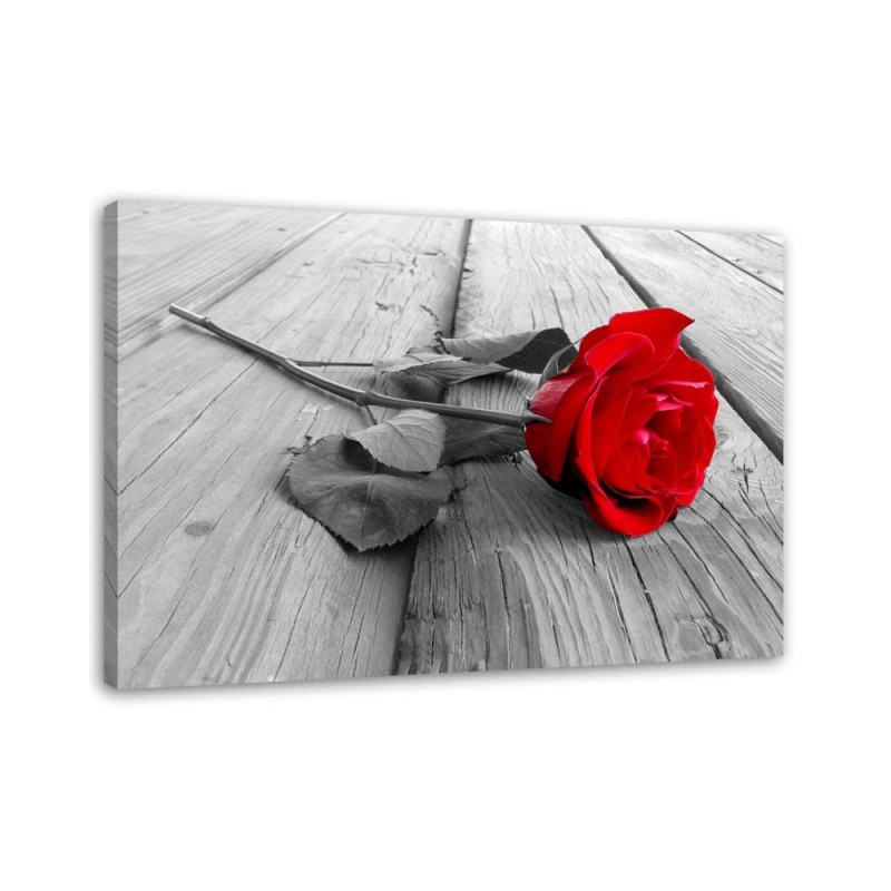 Red rose flower on a bridge - Canvas print. High quality  | FEEBY