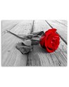 Red rose flower on a bridge - Canvas print. High quality  | FEEBY