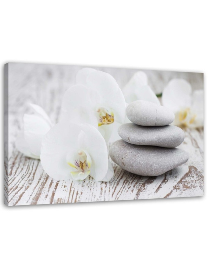 White orchid and stones - Modern painting for living room | FEEBY