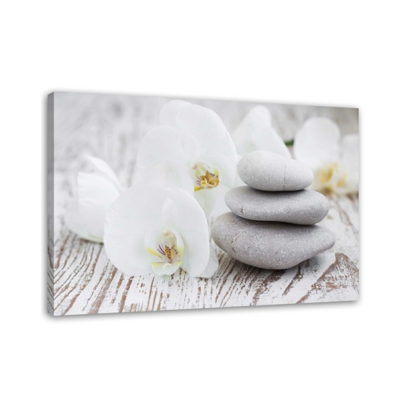 White orchid and stones - Modern painting for living room | FEEBY