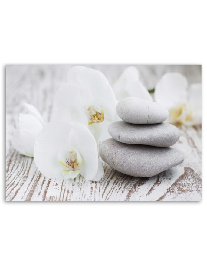 White orchid and stones - Modern painting for living room | FEEBY