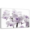 Canvas painting - White purple orchid | FEEBY