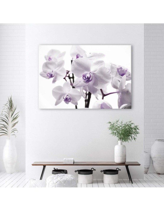 Canvas painting - White purple orchid | FEEBY