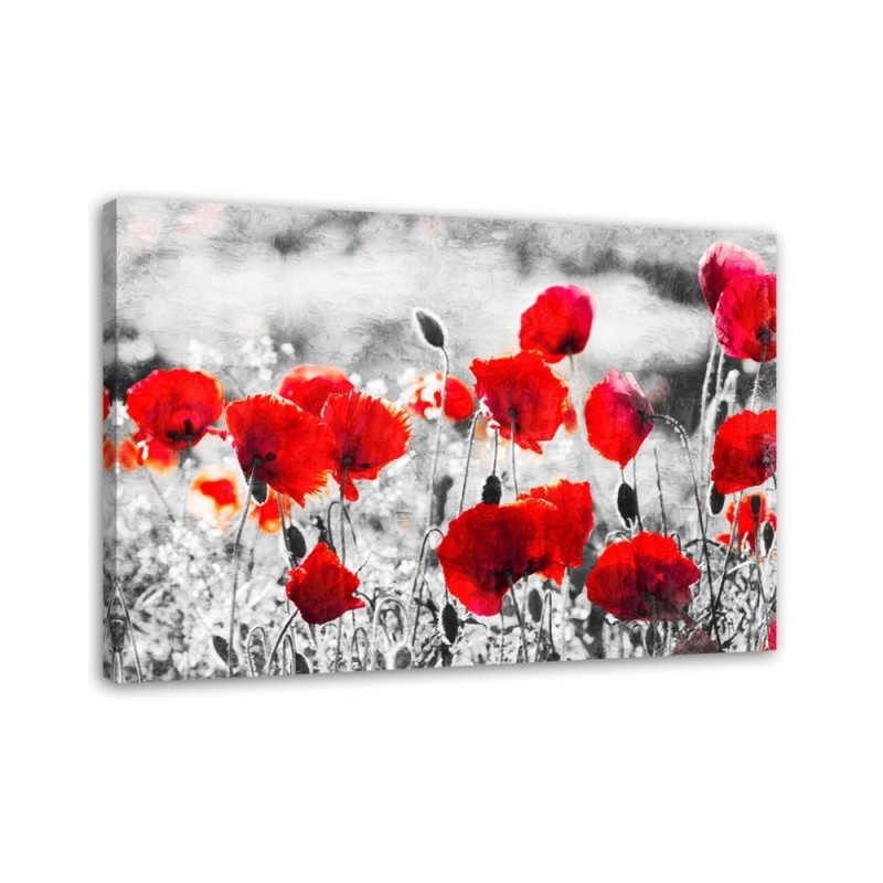 Modern Canvas painting for bedroom - Red field poppies | FEEBY