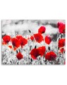 Modern Canvas painting for bedroom - Red field poppies | FEEBY