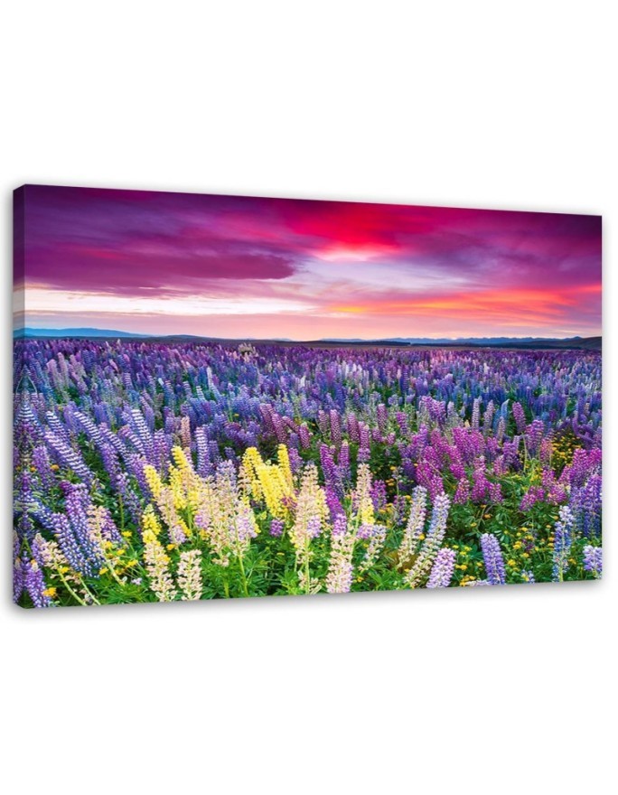 Modern bedroom painting - Meadow in lavender flowers | FEEBY