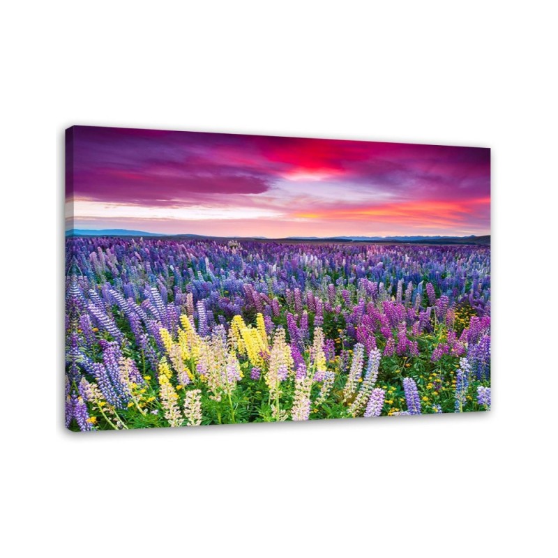 Modern bedroom painting - Meadow in lavender flowers | FEEBY