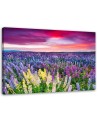 Modern bedroom painting - Meadow in lavender flowers | FEEBY
