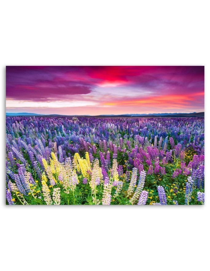 Modern bedroom painting - Meadow in lavender flowers | FEEBY