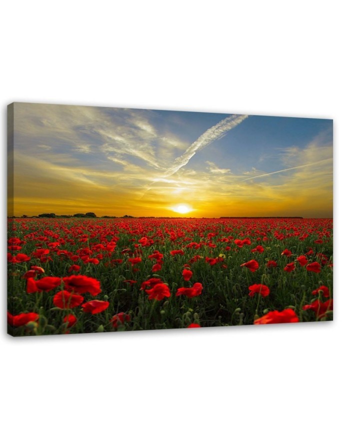 Canvas painting - Red poppies sunset landscape | FEEBY