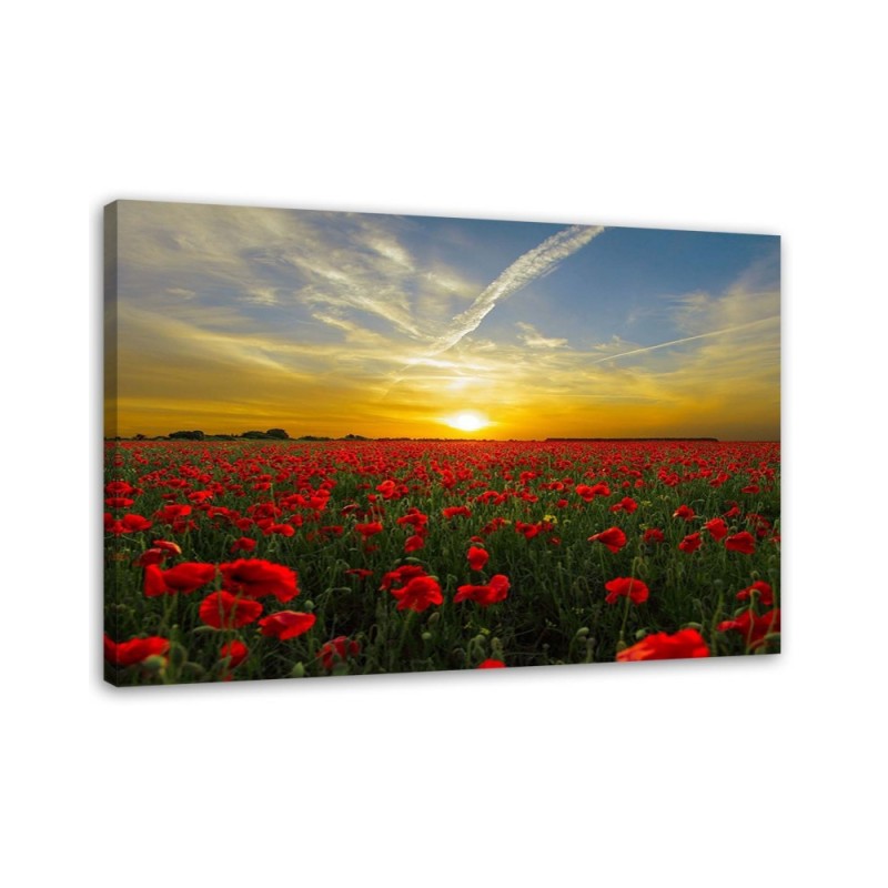 Canvas painting - Red poppies sunset landscape | FEEBY